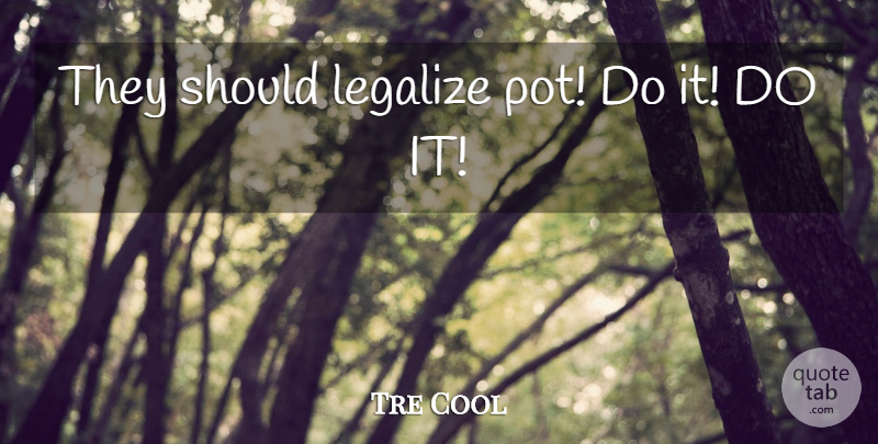 Tre Cool Quote About Legalize: They Should Legalize Pot Do...