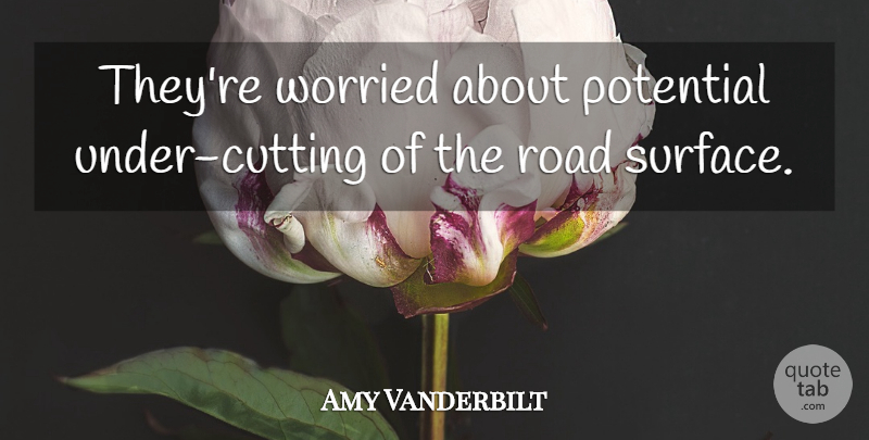 Amy Vanderbilt Quote About Potential, Road, Worried: Theyre Worried About Potential Under...