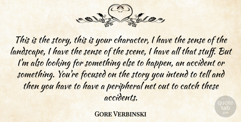 Gore Verbinski Quote About Accident, Catch, Focused, Intend, Looking: This Is The Story This...