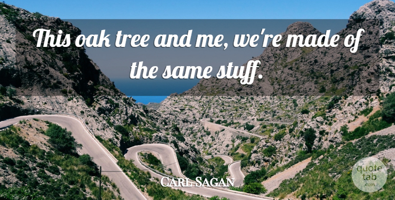 Carl Sagan Quote About Tree, Stuff, Made: This Oak Tree And Me...