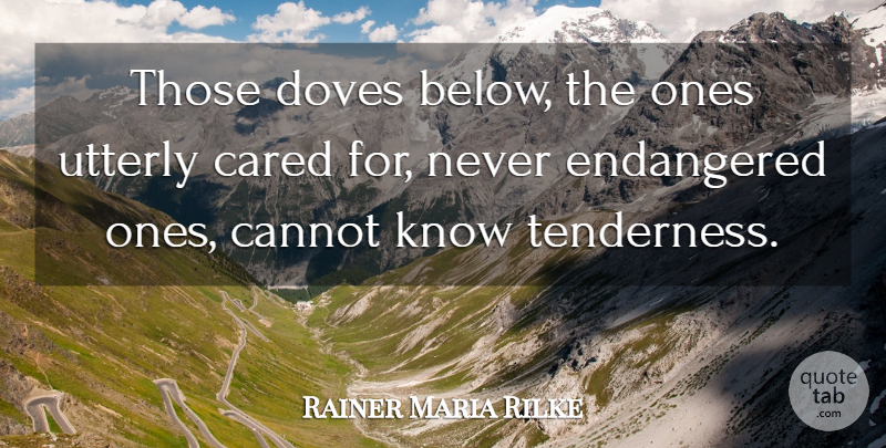 Rainer Maria Rilke Quote About Dove, Knows, Tenderness: Those Doves Below The Ones...