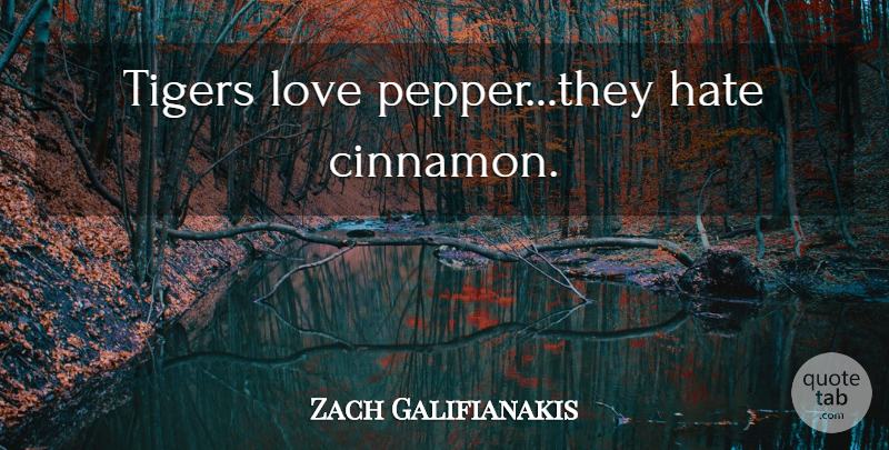 Zach Galifianakis Quote About Hate, Hangover, Peppers: Tigers Love Pepperthey Hate Cinnamon...
