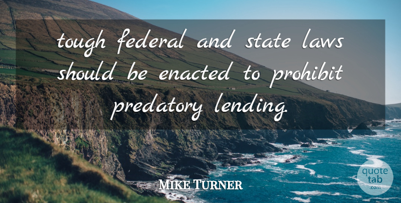 Mike Turner Quote About Federal, Laws, Prohibit, State, Tough: Tough Federal And State Laws...