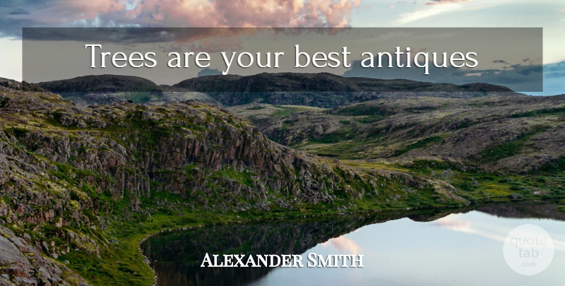 Alexander Smith Quote About Tree, Antiques, Environment: Trees Are Your Best Antiques...