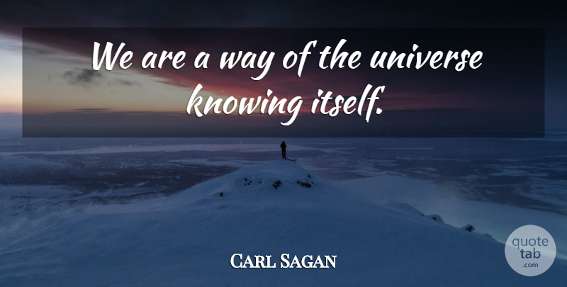 Carl Sagan Quote About Knowing, Way, Thrive: We Are A Way Of...