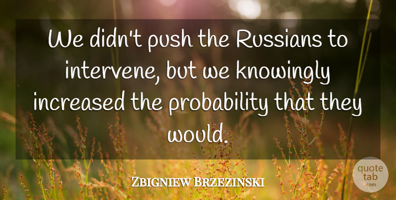 Zbigniew Brzezinski Quote About Eyebrows, Probability: We Didnt Push The Russians...