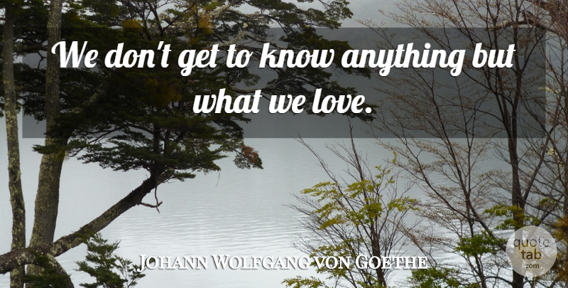 Johann Wolfgang von Goethe Quote About Love, Knows: We Dont Get To Know...