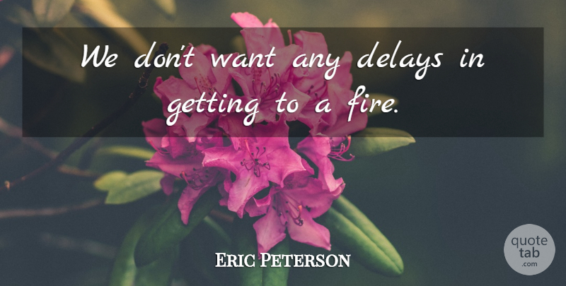 Eric Peterson Quote About Delays: We Dont Want Any Delays...