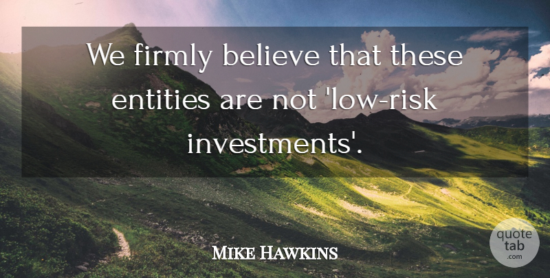 Mike Hawkins Quote About Believe, Entities, Firmly, Risk: We Firmly Believe That These...