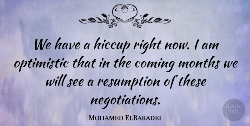 Mohamed ElBaradei Quote About Coming, Months, Optimistic: We Have A Hiccup Right...