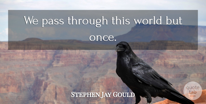 Stephen Jay Gould Quote About Kindness, Helping Others, Volunteer: We Pass Through This World...