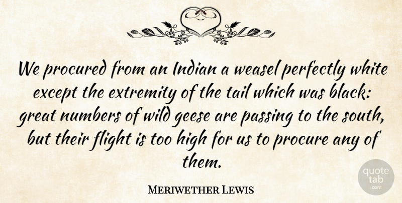 Meriwether Lewis Quote About Except, Extremity, Flight, Great, High: We Procured From An Indian...