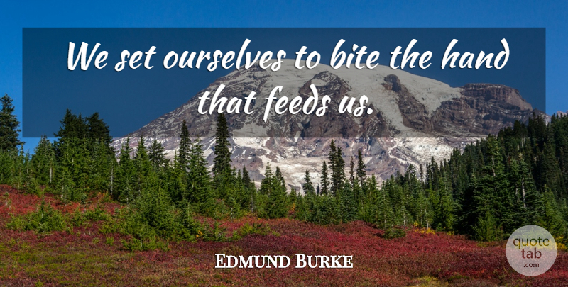 Edmund Burke Quote About Hands, Bites, Ingratitude: We Set Ourselves To Bite...
