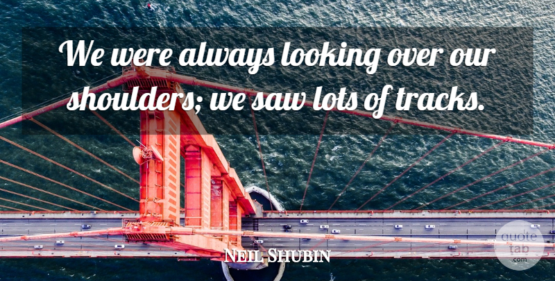 Neil Shubin Quote About Looking, Lots, Saw: We Were Always Looking Over...