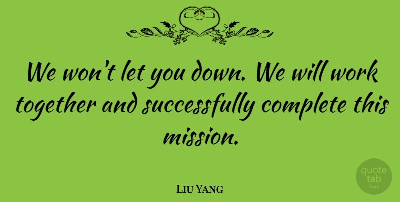 Liu Yang Quote About Complete, Work: We Wont Let You Down...