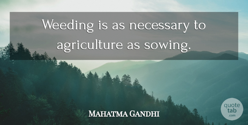 Mahatma Gandhi Quote About Weed, Agriculture, Sowing: Weeding Is As Necessary To...