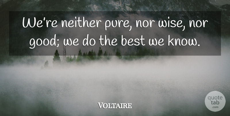 Voltaire Quote About Wise, Pure, Do The Best: Were Neither Pure Nor Wise...