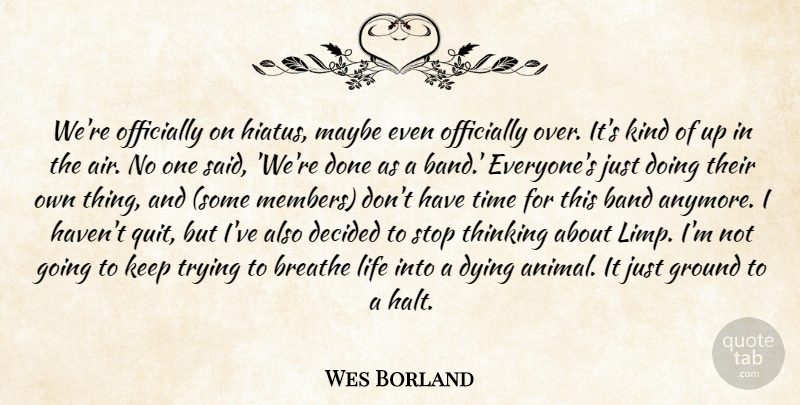 Wes Borland Quote About Band, Breathe, Decided, Dying, Ground: Were Officially On Hiatus Maybe...