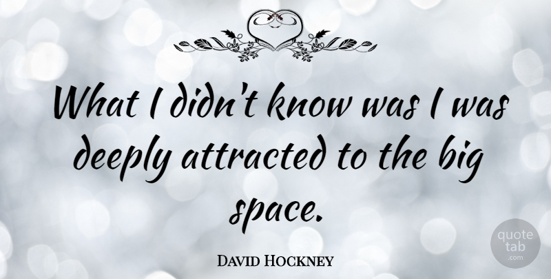 David Hockney Quote About Space, Bigs, Knows: What I Didnt Know Was...