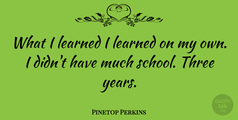 Pinetop Perkins Quote About undefined: What I Learned I Learned...