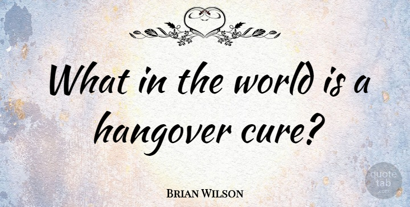 Brian Wilson Quote About Hangover: What In The World Is...