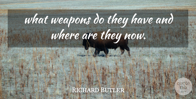 Richard Butler Quote About Weapons: What Weapons Do They Have...