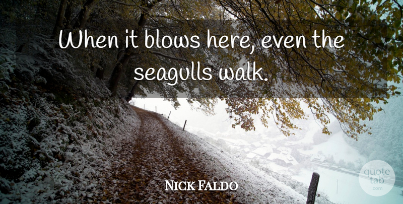 Nick Faldo Quote About Golf, Blow, Seagull: When It Blows Here Even...