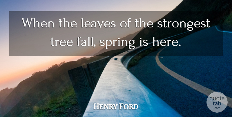 Henry Ford Quote About Spring, Fall, Tree: When The Leaves Of The...