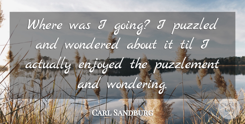 Carl Sandburg Quote About Literature, Wonder, Puzzled: Where Was I Going I...