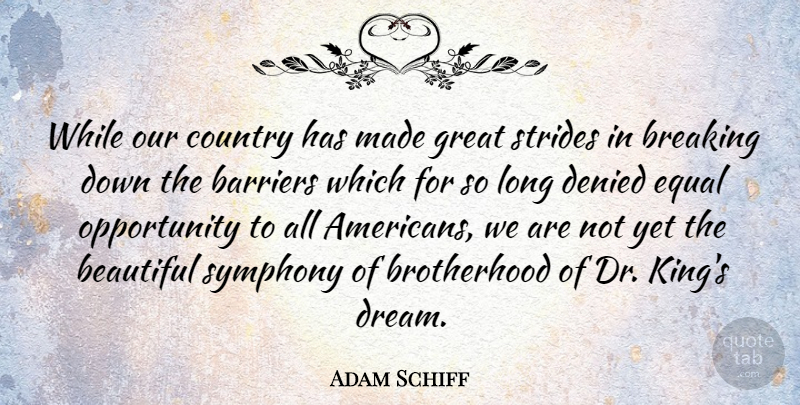 Adam Schiff Quote About Beautiful, Dream, Country: While Our Country Has Made...