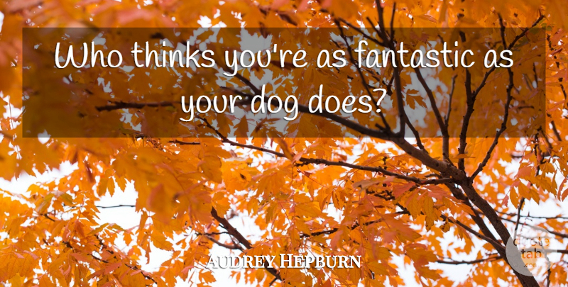 Audrey Hepburn Quote About Dog, Thinking, Doe: Who Thinks Youre As Fantastic...
