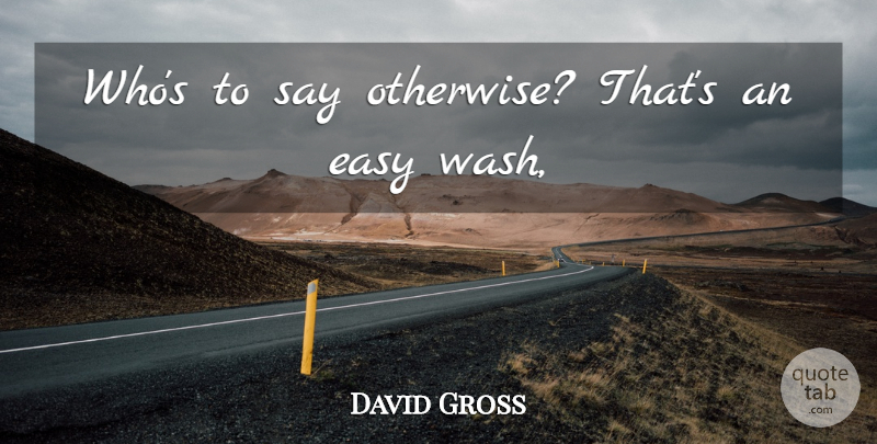 David Gross Quote About Easy: Whos To Say Otherwise Thats...