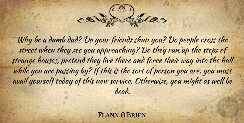 Flann O'Brien Quote About Running, Passing By, People: Why Be A Dumb Dud...