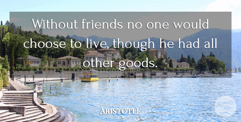 Aristotle Quote About Inspirational, Friendship, Philosophical: Without Friends No One Would...