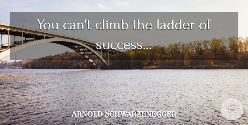 Arnold Schwarzenegger Quote About Failure, Funny Graduation, Ladders: You Cant Climb The Ladder...