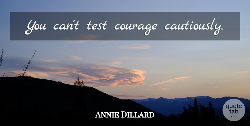 Annie Dillard Quote About Courage, Insperational, Bravery: You Cant Test Courage Cautiously...