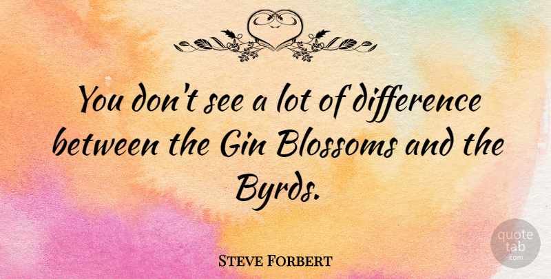 Steve Forbert Quote About Differences, Gin: You Dont See A Lot...