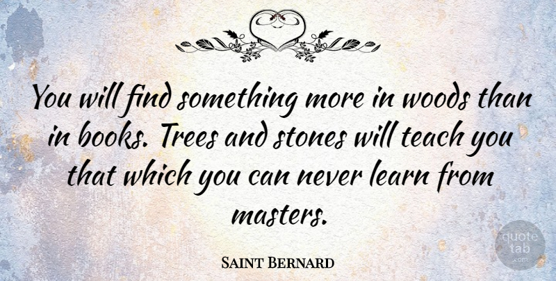 Saint Bernard Quote About Learn, Stones, Teach, Trees, Woods: You Will Find Something More...