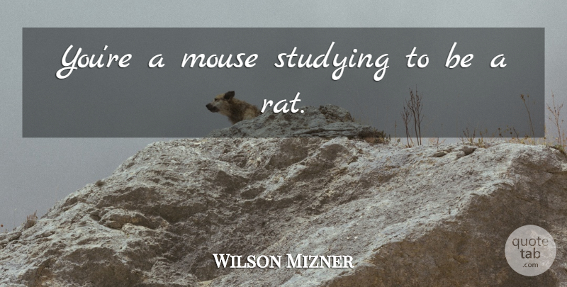 Wilson Mizner Quote About Sarcastic, Rats, Study: Youre A Mouse Studying To...